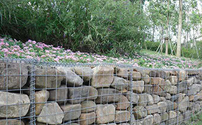 高爾凡雷諾護墊 高爾凡雷諾護墊