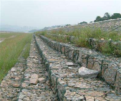 timg (1).jpg timg (1).jpg