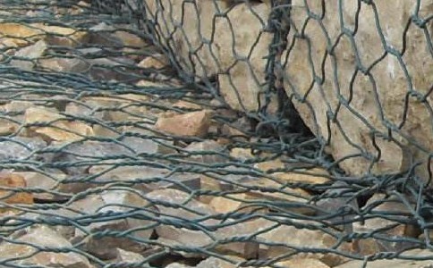 timg (3).jpg timg (3).jpg