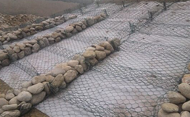 微信截圖_20190115091451.png 雷諾護墊